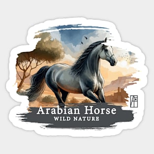 Arabian Horse - WILD NATURE - HORSE -14 Sticker